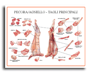 Tagli principali